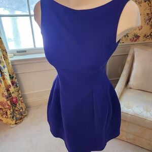 Zara Fitted Mini Dress